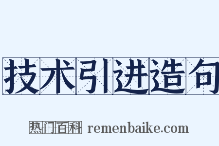 技术引进造句是什么意思的图片